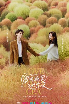 珠海市seo优化公司